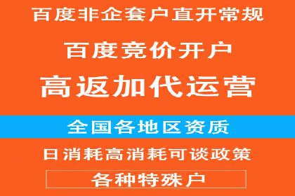 某电商平台的SEM广告投放策略及效果评估